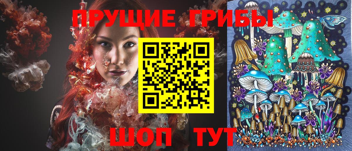 Галлюциногенные грибы GOLDEN TEACHER  Вход с VPN  Отрадное 